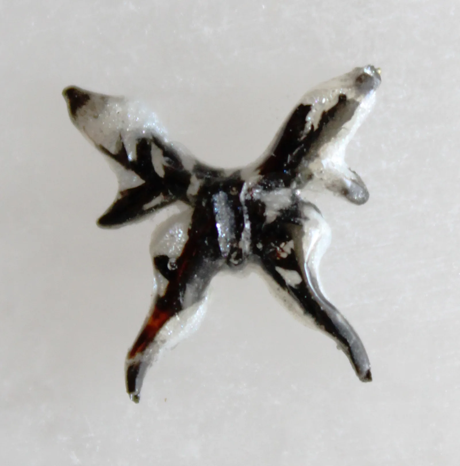 Mariposa — Fiocco