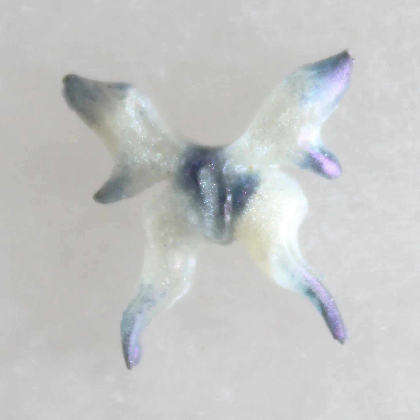 Mariposa — Violet